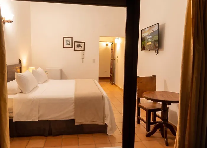 Hotel Mesón de los Virreyes